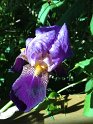 IMG_0180